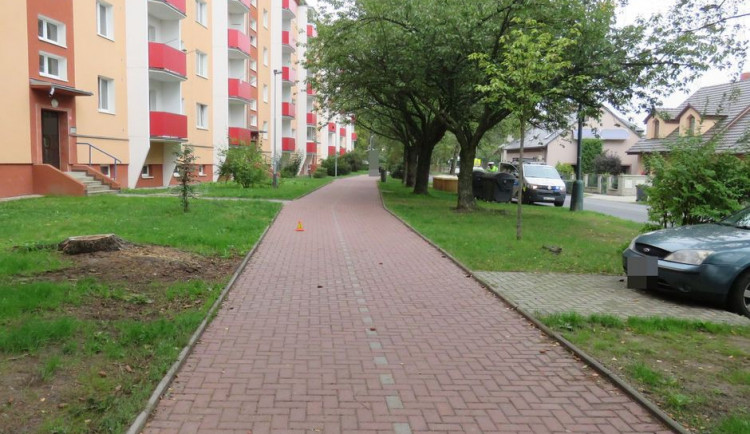 Policie hledá svědky nehody cyklisty, který upadl na cyklostezce. Přivodil si zranění, kterým později podlehl
