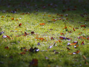 POČASÍ NA PÁTEK: Teploty kolem dvacítky a polojasná obloha