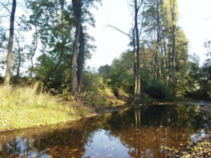 Prostějov plánuje v oblíbeném biokoridoru Hloučela postavit discgolfové hřiště