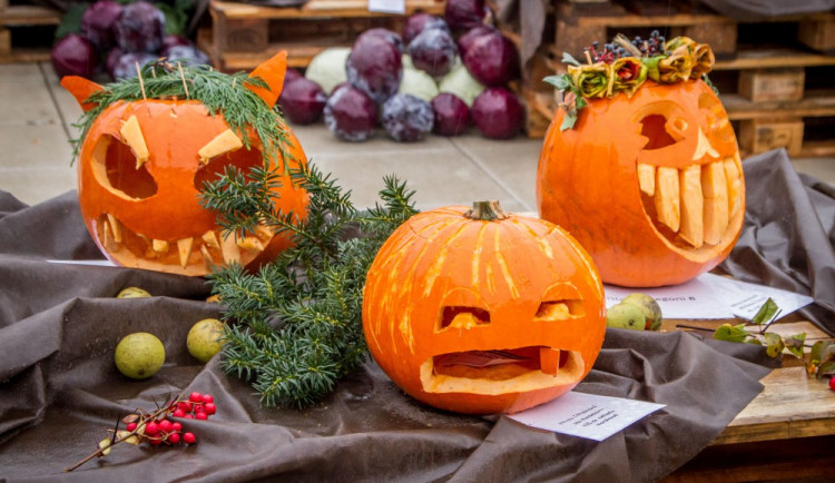 Podzimní Flora představí nejlepší produkty ovocnářů a zelinářů a hlásí návrat ke kořenům