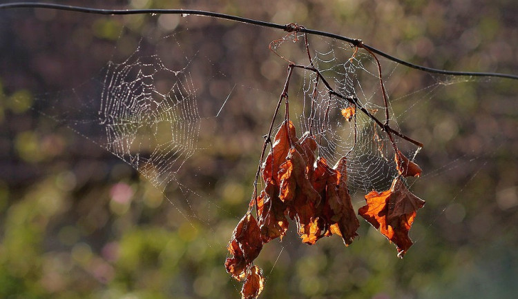 V říjnu se ochladí. V závěru měsíce denní teploty nepřekročí deset stupňů