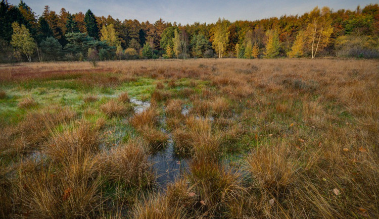 V okolí motorestu Skřítek se ztratila seniorka. Našli ji po pás zabořenou v rašeliništi