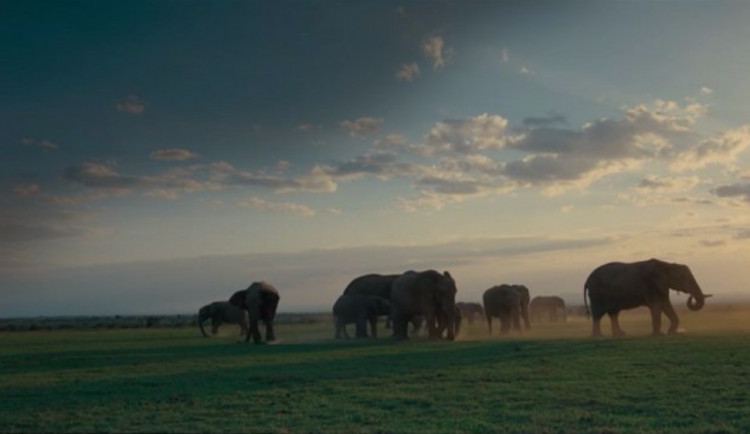 Milovaný i nenáviděný režisér Malick dorazí do Metropolu