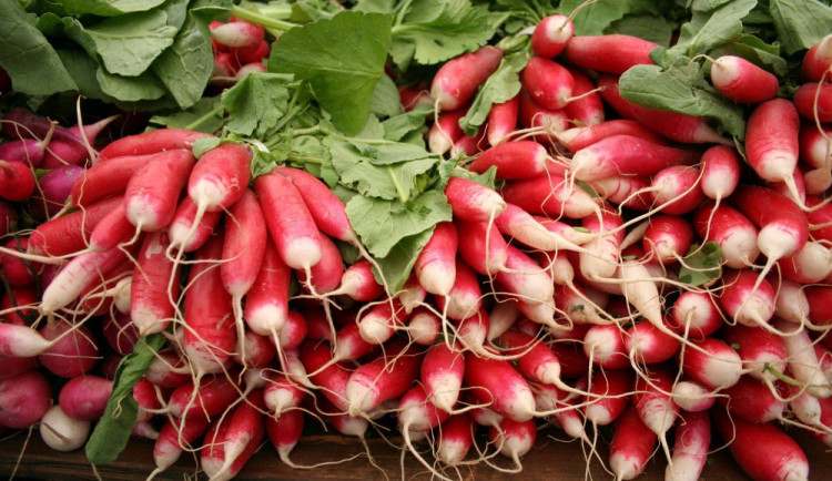 Filmový festival Země na talíři přinese nejenom filmy. Součástí budou besedy i workshopy