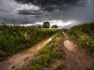 POČASÍ NA NEDĚLI: Přes den nás čekají dešťové přeháňky. Sluníčko nečekejte