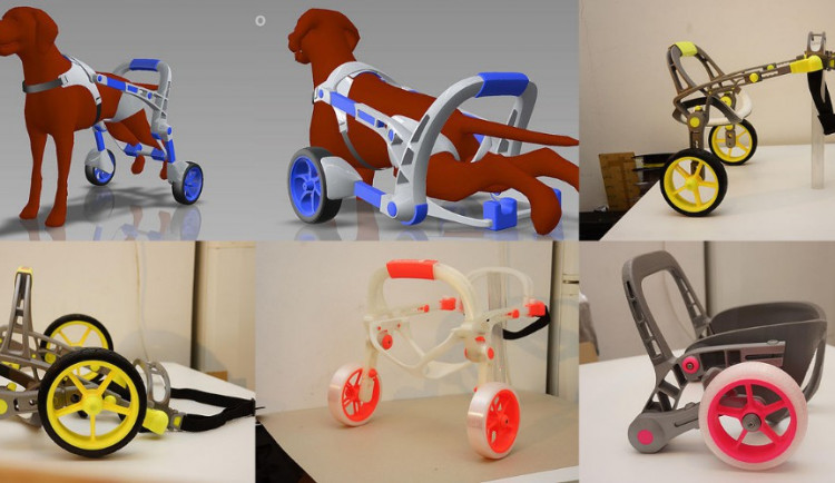 Český start-up AnyoneGo vyvíjí invalidní vozíky pro zvířata. Vyrábí je na míru ve 3D tiskárnách