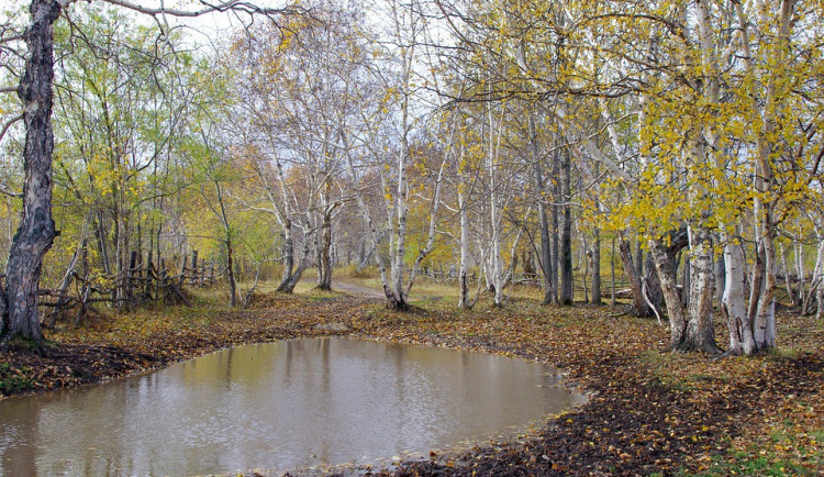 POČASÍ NA STŘEDU:  Bude zataženo, teploty se vyšplhají až k osmnáctce