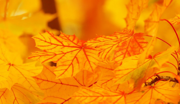 POČASÍ NA PÁTEK: Na závěr pracovního týdne bude převážně polojasno