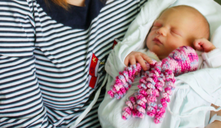 Miminka v prostějovské nemocnici dostanou slavné pletené chobotničky