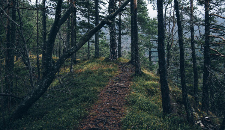 POČASÍ NA ÚTERÝ: Přes den bude většinou oblačno, teploty kolem deseti stupňů