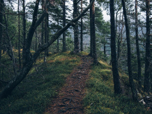 POČASÍ NA ÚTERÝ: Přes den bude většinou oblačno, teploty kolem deseti stupňů