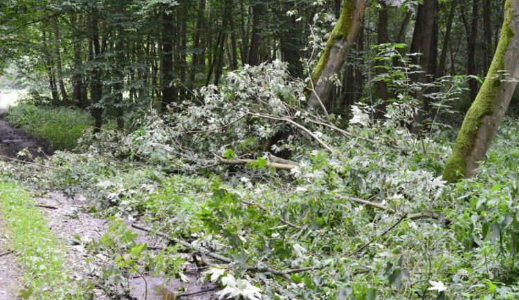 V neděli zasáhne Česko extrémně silný vítr