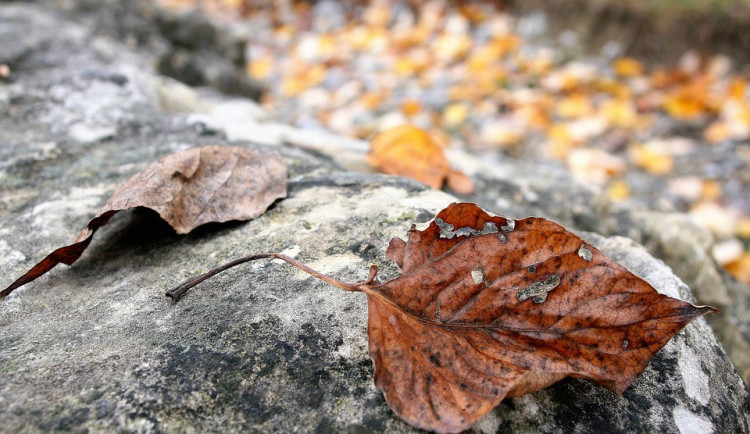 POČASÍ NA ÚTERÝ: Bude polojasná obloha, teploty ale jen do sedmi stupňů