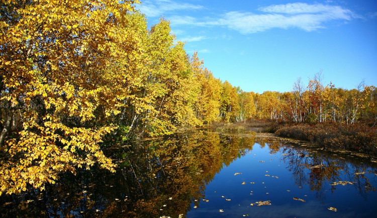 POČASÍ NA STŘEDU: Během dne se zatáhne a občas sprchne. Teploty od 7 do 10 stupňů