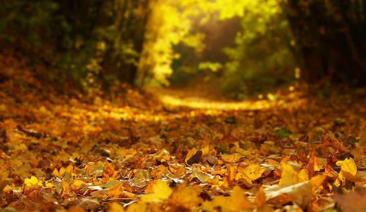 POČASÍ NA PÁTEK: Zpočátku dne oblačno a přeháňky, pak se vyjasní