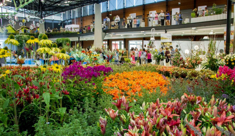 Jak by mohlo v budoucnu vypadat Výstaviště Flora? Město si nechalo zpracovat studii