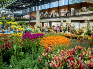 Jak by mohlo v budoucnu vypadat Výstaviště Flora? Město si nechalo zpracovat studii