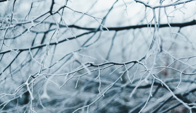 Druhá půlka listopadu bude ve znamení nočních mrazíků