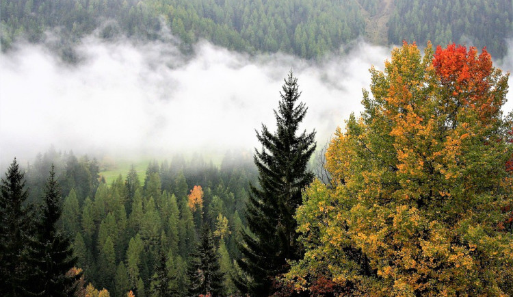 POČASÍ NA PONDĚLÍ: Bude kolem deseti stupňů, v Jeseníkách se objeví přeháňky