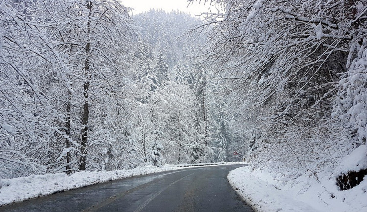 Letos bude více silnic v kraji udržováno chemicky. Starat se totiž o ně budou tři soukromé firmy