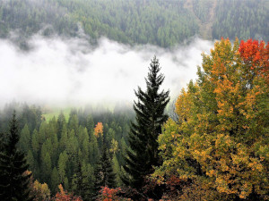 POČASÍ NA PONDĚLÍ: Bude kolem deseti stupňů, v Jeseníkách se objeví přeháňky