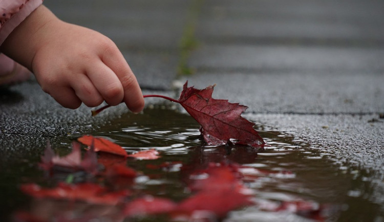 POČASÍ NA NEDĚLI: Přes den polojasno, k večeru bude pršet