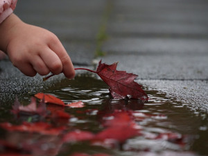 POČASÍ NA NEDĚLI: Přes den polojasno, k večeru bude pršet