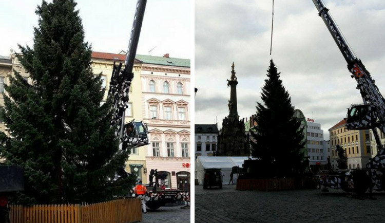 ANKETA: Horní náměstí už zdobí vánoční strom. Líbí se vám?