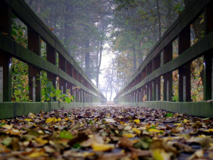 POČASÍ NA STŘEDU: Ráno se ojediněle vyskytnou mrznoucí mlhy, přes den až osm stupňů