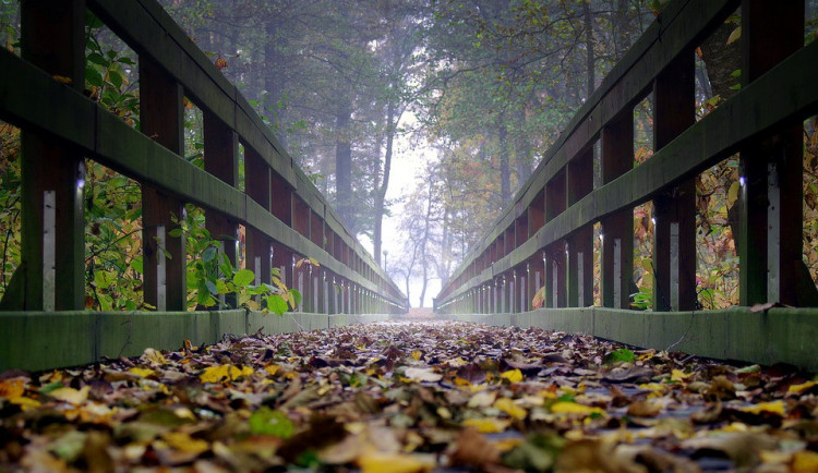 ilustrační fotografie