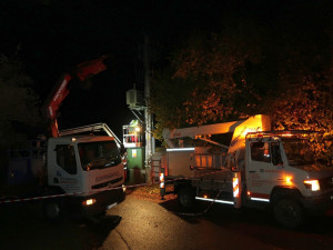 ČEZ vyčíslil škody způsobené orkánem Herwartem, který úřadoval na konci října, na 71 milionů