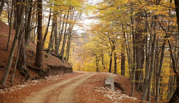 ilustrační fotografie