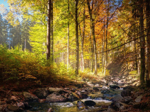 POČASÍ NA PÁTEK: Při malé oblačnosti dnes bude až 12 stupňů