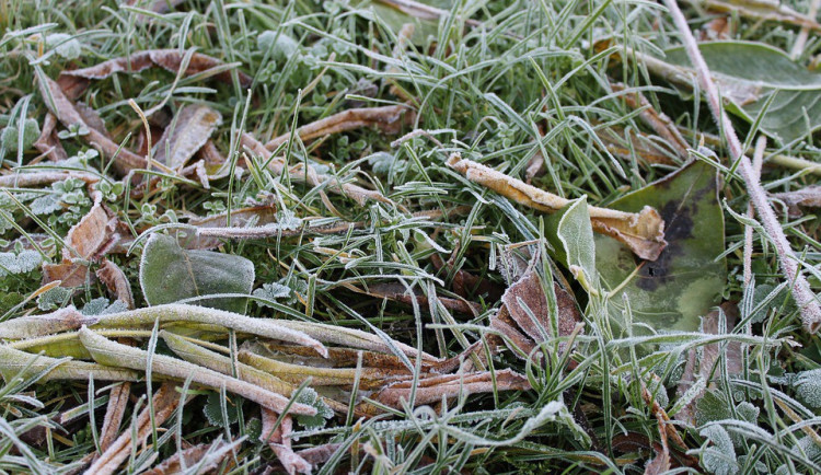 POČASÍ NA ÚTERÝ: Během dneška polojasno, večer bude přibývat oblačnosti. Teploty kolem pětky