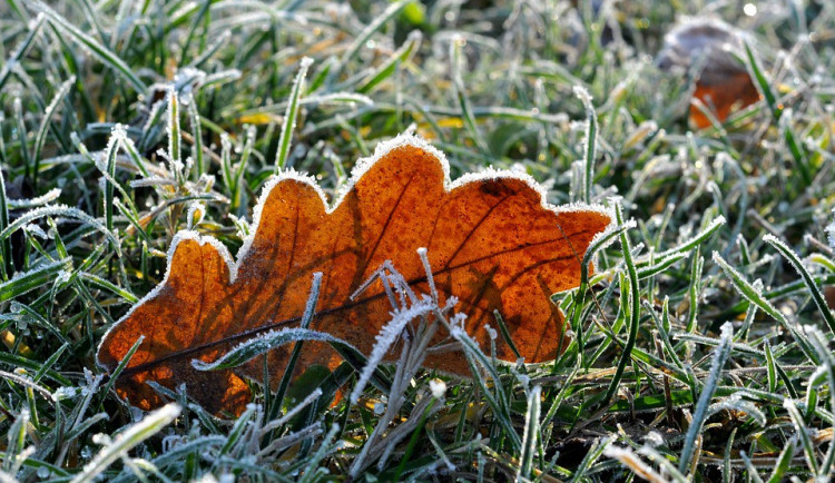 POČASÍ NA STŘEDU: Teploty přes den jen těsně na nulou, může i sněžit