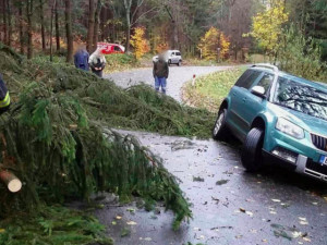 Během vichřice Herwart bylo v kraji poškozeno několik tisíc stromů. Škody se budou likvidovat do jara