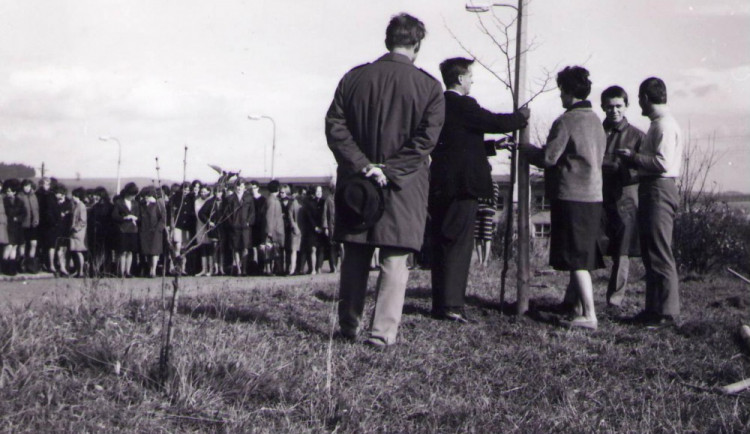 Unikátní web mapuje vysazené stromy po celé zemi symbolizující vznik Československa. Podívejte se