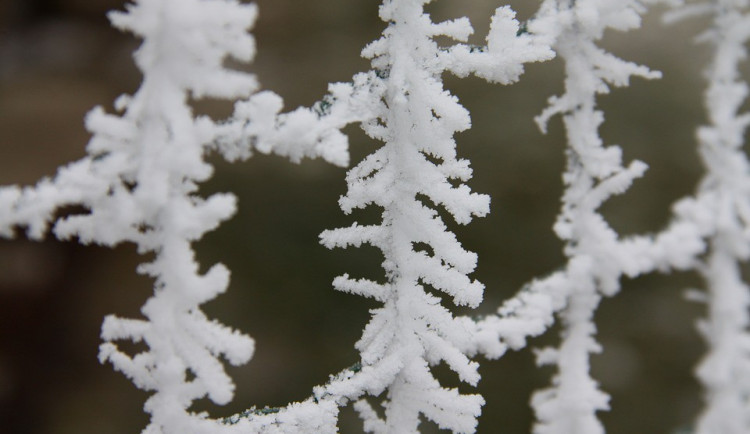 POČASÍ NA ČTVRTEK: Bude zataženo, místy může trvale i sněžit. Nejvyšší teploty jen kolem nuly