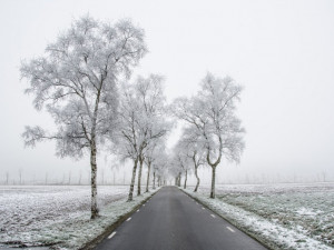 V Olomouckém kraji sněží. Silnice jsou sjízdné