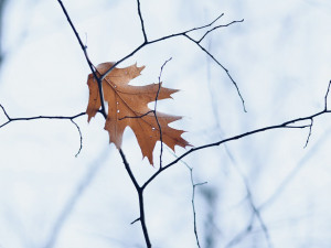 POČASÍ NA PÁTEK: Čekají nás teploty kolem nuly, přes den bude jasná obloha