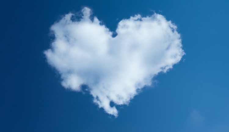 ilustrační fotografie