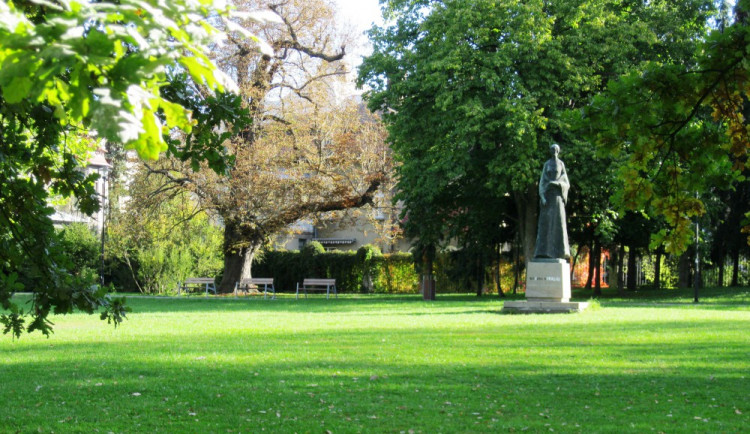 Poškozené stromy v olomouckých parcích nahradí nové dřeviny