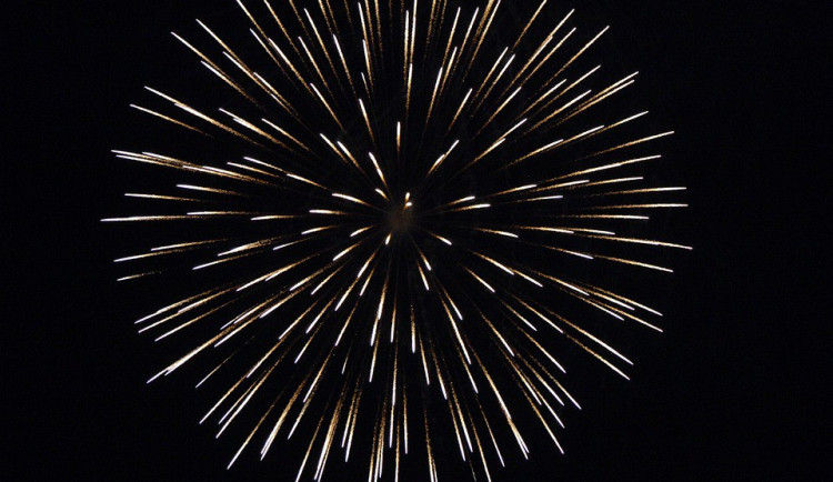 Novoroční ohňostroj v Rudolfově aleji nakonec nebude. Radnice vyslyšela výtky ochránců přírody