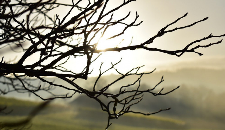 ilustrační fotografie