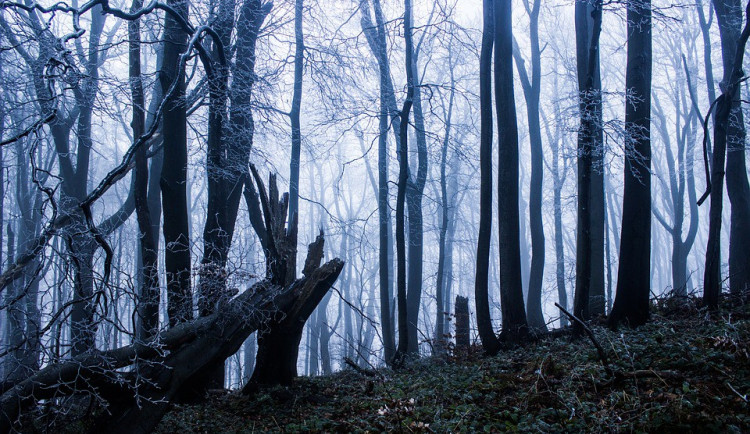 POČASÍ NA SOBOTU: Ráno náledí, přes den možné sněhové přeháňky