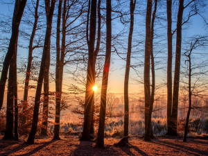 POČASÍ NA PONDĚLÍ: Očekáváme velké oteplení, bude až dvanáct stupňů