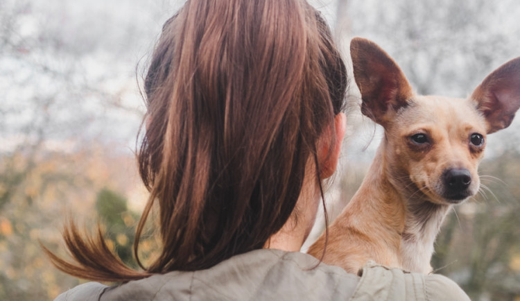 Olomoučtí dobrovolníci znovu pořádají sbírku Šťastné a Chlupaté. Udělejte psům v útulku hezké Vánoce
