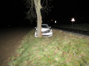 Řidiči vběhla před auto divoká zvěř. Nezvládl své vozidlo a narazil do stromu