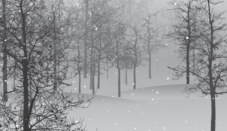 POČASÍ NA ČTVRTEK: Na většině území kraje bude buďto sněžit, nebo pršet