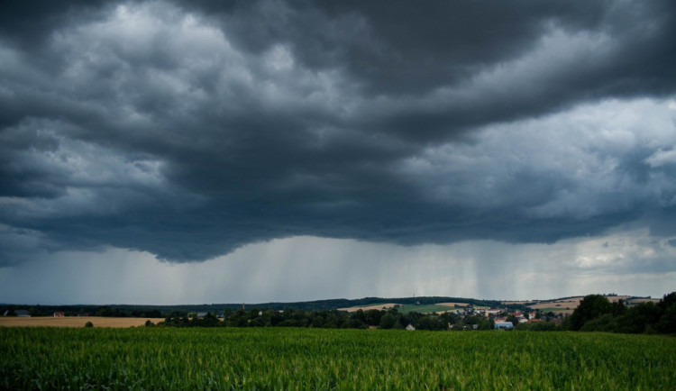 ilustrační fotografie